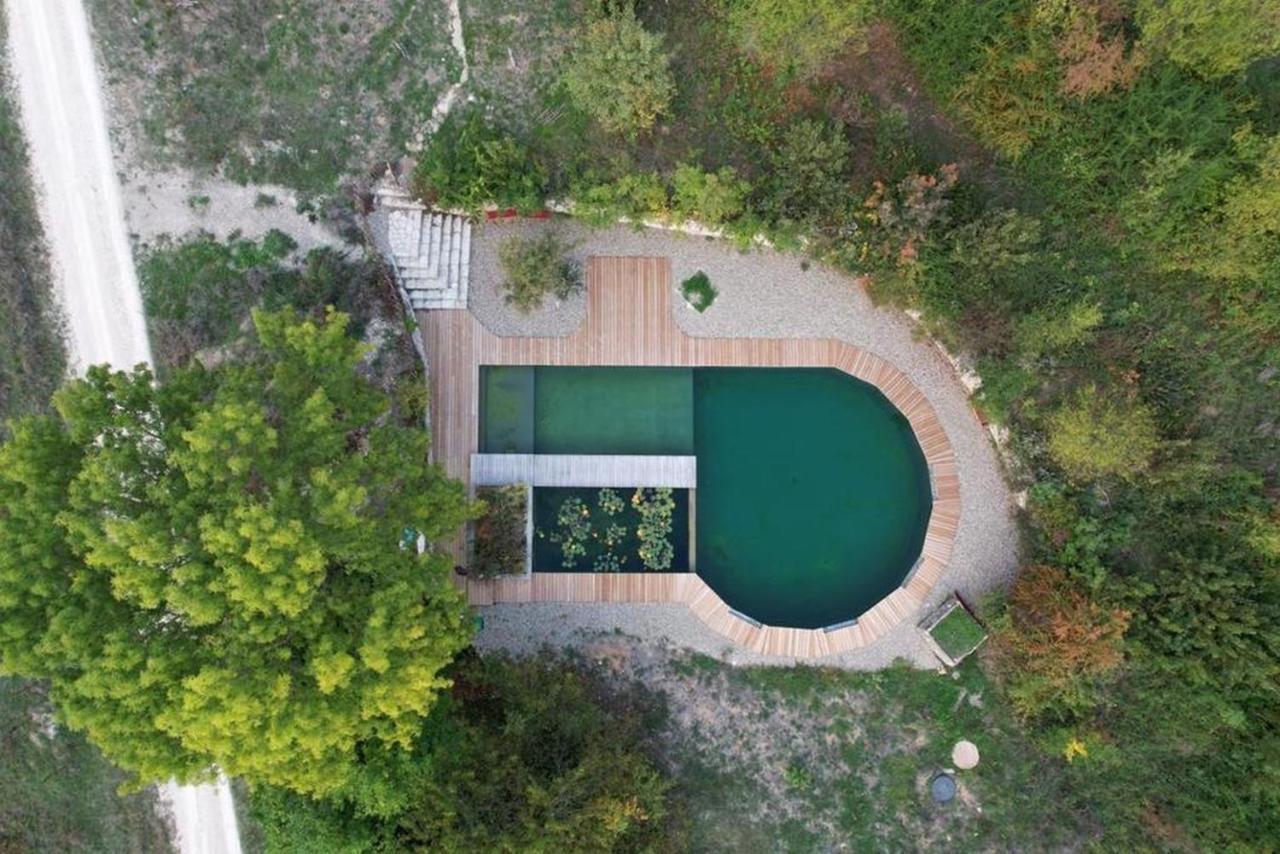 Maison Terre Les Cabanes De Fallot - Sauna Bain-Froid Piscine Naturelle L'isle-Bouzon Dış mekan fotoğraf
