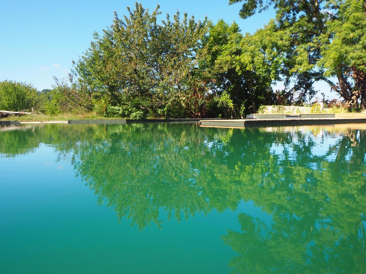 Maison Terre Les Cabanes De Fallot - Sauna Bain-Froid Piscine Naturelle L'isle-Bouzon Dış mekan fotoğraf